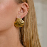 Shell Earrings