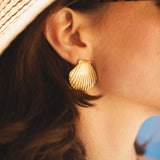Shell Earrings